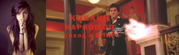 2c-b Бородино