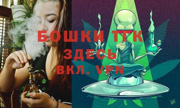 2c-b Бородино