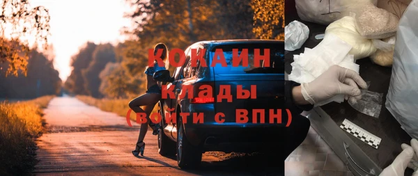прущие грибы Рославль