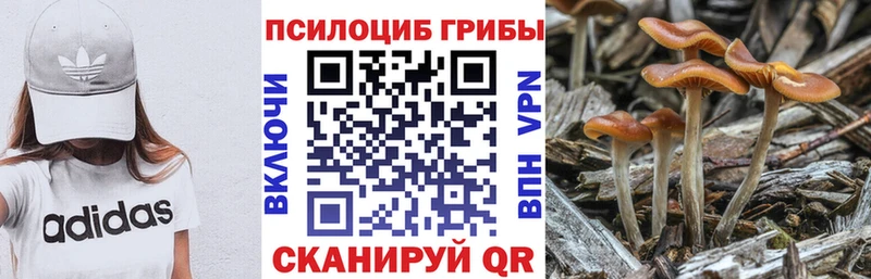 ссылка на мегу как зайти  Луза  Галлюциногенные грибы прущие грибы  купить закладку 